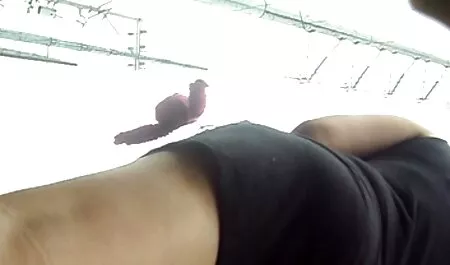 Incinta Iviola video porno gratis di donne nude si spoglia in cucina
